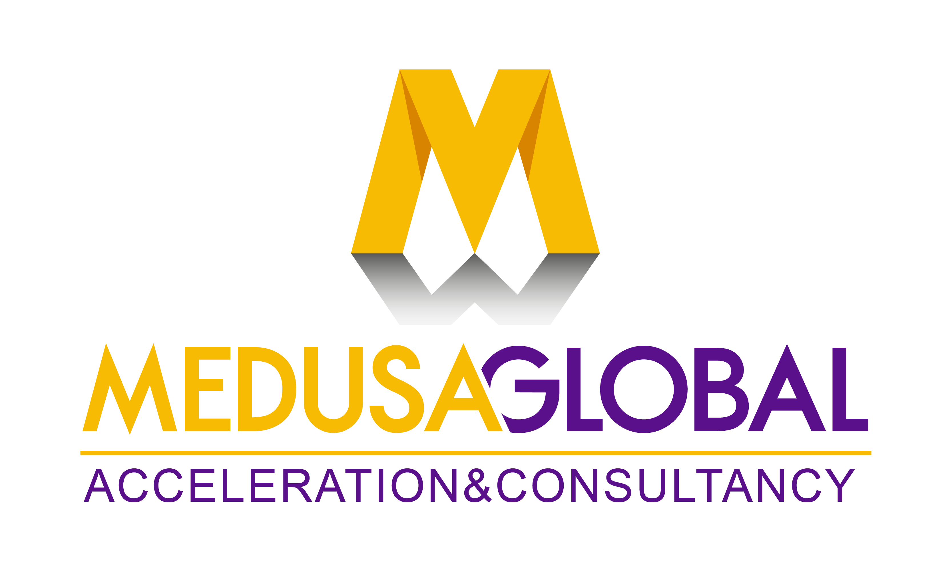 Medusa Global Logo